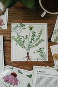 Mini Plant Monograph Cards - set of 14